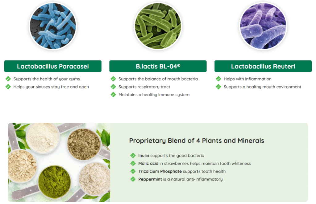ingredients
